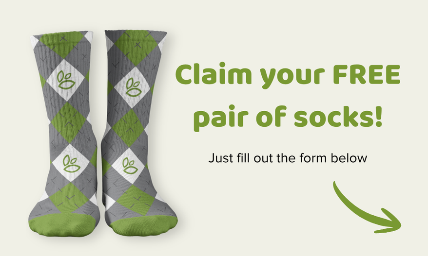 Claim socks illustration